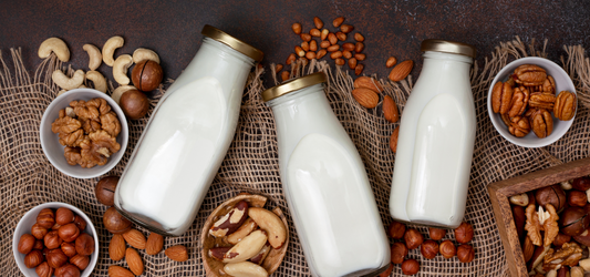 Quel lait végétal choisir ? Le guide rapide et gourmand